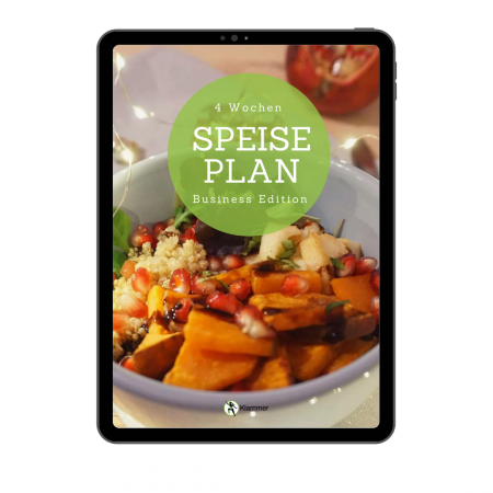 4 Wochen Speiseplan Ebook